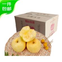 京鲜生 山东黄金奶油富士苹果 净重5斤 单果170g+