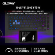 GLOWAY 光威 悍将128g 256g 512g 1t 2t固态硬盘ssd笔记本台式机电脑sata