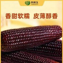 北京农林科学院，农科玉 玉膳房 鲜食紫糯玉米 1.56kg/260g*6棒