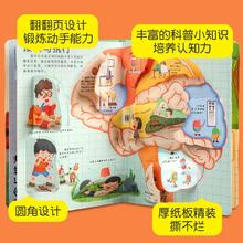 不可思议的身体儿童好奇孩子百问百答翻翻书