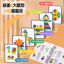 纽奇（Nukied）七巧板儿童金字塔积木拼装大颗粒叠叠乐2-6岁玩具男孩新年礼物 【收纳盒】256片磁力积木+图册