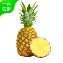 PLUS会员：京鲜生 海南金钻凤梨 单果500g+ 净重4.5-5斤