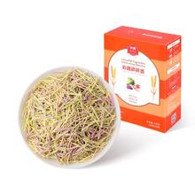 拍三 伊威宝宝无添加蝴蝶面碎碎粒粒面