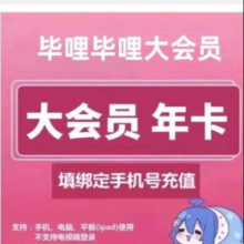 哔哩哔哩大会员 12个月年卡