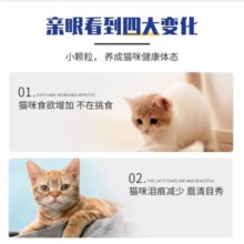 豆柴（docile）冻干四拼猫粮无谷冻干粮全阶段天然粮通用猫干粮 冻干四拼猫40g【试吃】