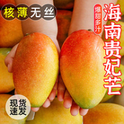 誉福园 海南红金龙贵妃芒9斤（单果200g+）