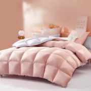 京东PLUS：BLISS 百丽丝 升级抗菌保暖素色鹅毛保暖冬被 150*210cm