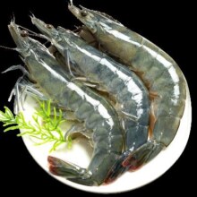 京东百亿补贴、Plus会员:虾有虾途 超大青虾 14-16厘米 4斤*1盒