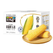 北纬47°（BEIWEI） 黄糯玉米200g*6穗  低脂玉米棒糯玉米 东北玉米粘玉米早餐