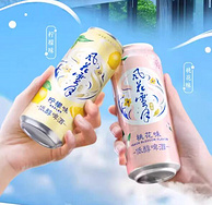 Carlsberg 嘉士伯 风花雪月特酿啤酒 500ml*12罐