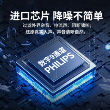 飞利浦PHILIPS 助听器老年人中重度耳聋耳背式隐形助听器老人专用  飞鸿CP