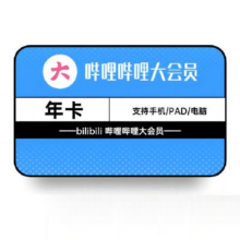 哔哩哔哩大会员12个月 B站大会员年卡