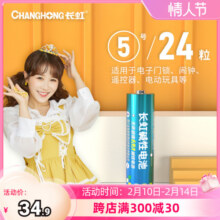 长虹5号碱性电池24粒玩具空调遥控器智能门锁五号小电池1.5VAA