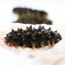 晓芹 大连即食海参 1500g24-30只 辽刺参 开袋即食 礼盒