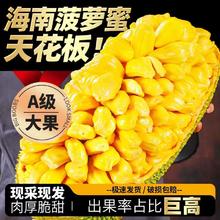 雪束 海南黄肉菠萝蜜整果 精选18-22斤（1个果）
