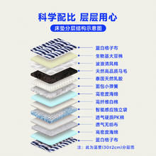 Asnug 爱舒 手工床垫马尾毛无胶水独立弹簧拉扣蓝白格子无乳胶床垫 蓝星