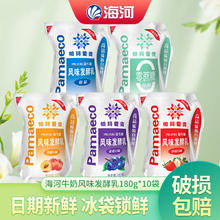 海河乳业 海河益生菌风味发酵乳180g/袋帕玛爱壳低温酸奶