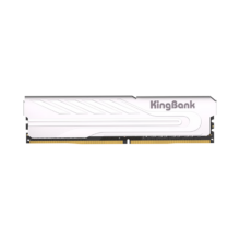 plus:金百达（KINGBANK）16GB DDR4 3600 台式机内存条 银爵 C18