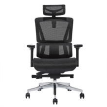 恋树（LIANSHU） L1电脑椅家用 人体工学椅子 办公椅可躺 老板椅 转椅 撑腰电竞椅 黑色（网布座垫）