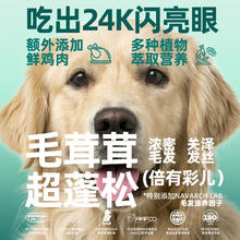 Navarch 耐威克 六种肉冻干狗粮