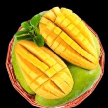 集南鲜海南大青芒  5斤含箱优大果（单果200g-300g）