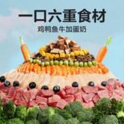 YANXUAN 网易严选 全价冻干三拼犬粮 升级款试吃装 480g