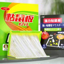首单+签到 超强力粘鼠板1张＋30张苍蝇贴