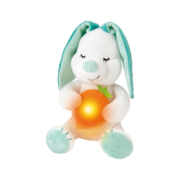 Hape安抚兔子毛绒玩具音乐玩偶可爱夜光灯兔男女孩儿童宝宝婴幼儿玩具 hape声光安抚小兔子