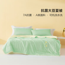 BLISS 百丽丝 大豆纤维抗菌可水洗空调被夏凉被 150*200cm