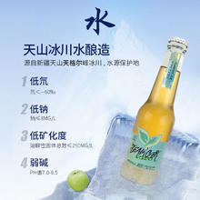 TEAMGER 格莱雪天山冰川水茶酒260ml两瓶装