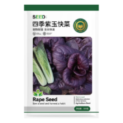 京农研 四季紫玉快菜种子 约500粒