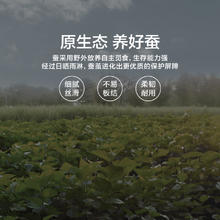 Sleemon 喜临门 康享弹簧床垫 1500*2000