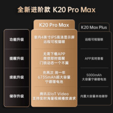 凯迪仕（kaadas）智能锁K20 Pro Max升级款 指纹锁 人脸视屏智能门锁 电子锁太空灰2999元