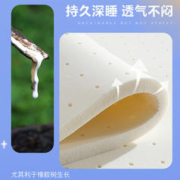 YAHA 瑶海 记忆棉乳胶椰棕独立弹簧床垫 奢享款 180*200*25cm