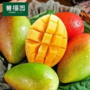 誉福园 海南红金龙贵妃芒9斤（单果200g+）