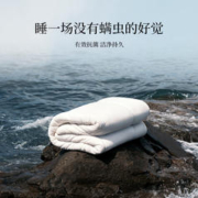京东PLUS：ATOUR PLANET 亚朵星球 暖姜蓬蓬四季被 200*230cm