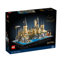 乐高（LEGO）积木 哈利波特 76419霍格沃茨城堡庭院 新品 拼装玩具生日礼物