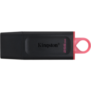 金士顿（Kingston）256GB USB3.2 Gen 1 U盘 DTX 大容量U盘 时尚设计 轻巧便携