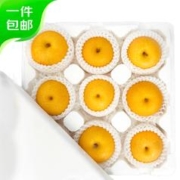 Mr.Seafood 京鲜生 青青大地莱阳秋月梨优等果净重4斤 8-10粒单果200g+ 源头直发拉新