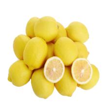 uncle lemon 四川安岳黄柠檬 5斤超值装
