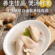 国家地理标志产品，草原兴发 草原散养慢养土鸡 680g*4只 礼盒装