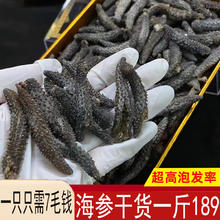 送鲍鱼黑刺参天然野生海参干货 黑刺参300个约2到3厘米