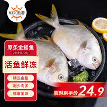 恒兴食品 生态原条金鲳鱼700g 2条装 BAP认证 深海鱼 生鲜海鲜 火锅烧烤