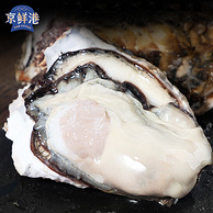 京鲜港 山东产鲜活生蚝 净重3斤（15-20只装/单只70g起）