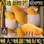 京东百亿补贴:壹萌果蔬 广西金煌芒（顺丰可选） 精选5斤大果