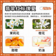 FOR COFFEE 四人咖啡 2023BOP竞标批次四人巴拿马芭比朵庄园水洗瑰夏浅烘咖啡豆227g