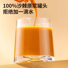 青源堂 北京同仁堂健康沙棘原浆
