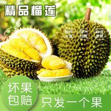 花音谷 泰国A级 巴掌榴莲 单果3-4斤
