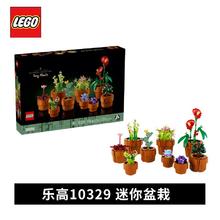 LEGO 乐高 积木10329迷你盘栽男女孩益智拼搭玩具礼物收藏