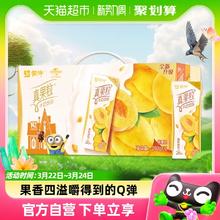 蒙牛 真果粒牛奶饮品250g*12盒 优质黄桃Q弹果粒 礼盒装